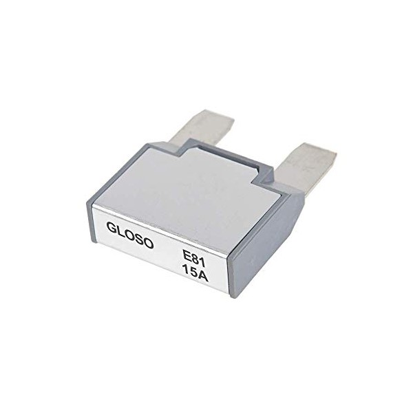 GLOSO GLOSO Maxi Blade Circuit Breaker E81, T1 Auto Reset