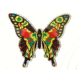 Clark Collection CC52071 Large Multi Colored Butterfly Door Screen Saver