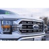 APS Fits 2021-2022 Ford F-150 XL/2022 XLT Main Chrome Grille