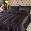 Bedding_Dreamer Silk Like Black Comforter Satin Comforter Set Queen Silky