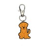 Golden Retriever Zipper Charm Set of 2 Badge Reel Accent