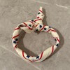 The Peacock Crew Patriotic USA Bandana in Premium Cotton for