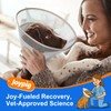 Joypig Dog Cone Collar with Soft Pad, Transparent Elizabeth Recovery