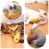 DAVBNM 3pcs Catnip Toy, Cat Chew Toy, Bite Resistant Catnip