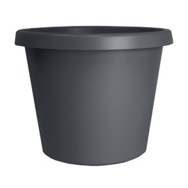 The HC Companies 8 Inch Round Prima Planter - Small Plastic Plant Pot with Rolled Rim for Indoor Outdoor Plants Flowers Herbs, Warm Gray