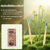 Navona 36 PCS Bamboo Toothbrushes, Kids Aged 7+ Toothbrush Pack,