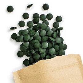 Terra Elements Organic Spirulina Tablets (500 mg, Pack of 240) I Microalgae I Rich in Natural Iron I 100% Pure I Vegan I Raw Food