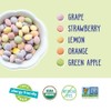 YumEarth Assorted Fruity Vegan Candy 10 Pack Gluten Free Allergy