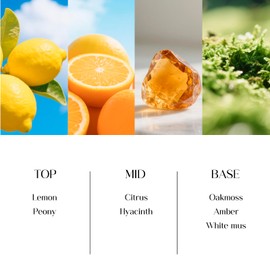 8 OZ Reed Diffusers Set Citrus, Luxury Scented Room Fresheners with 6 Reed Sticks, Luxury Blue Glass Bottle for Bathroom Office Shelf Decor