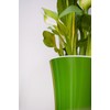 Santino Self Watering Planter Arte 4.3 Inch White/Black Indoor Flower