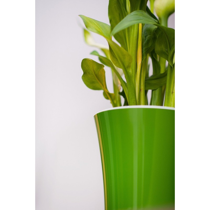 Santino Self Watering Planter Arte 4.3 Inch White/Black Indoor Flower
