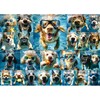 Underwater Dogs Jigsaw Puzzles 1000 Pieces for Adults Funny Cute
