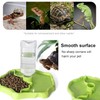 BEANPRECOY Reptile Water Dispenser, Turtle Water Bowl, 2 in 1