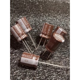 Elna SilmicII 22 MFD 50 Volt Capacitors  Qty-6 Where Quality Sound Counts)))))))