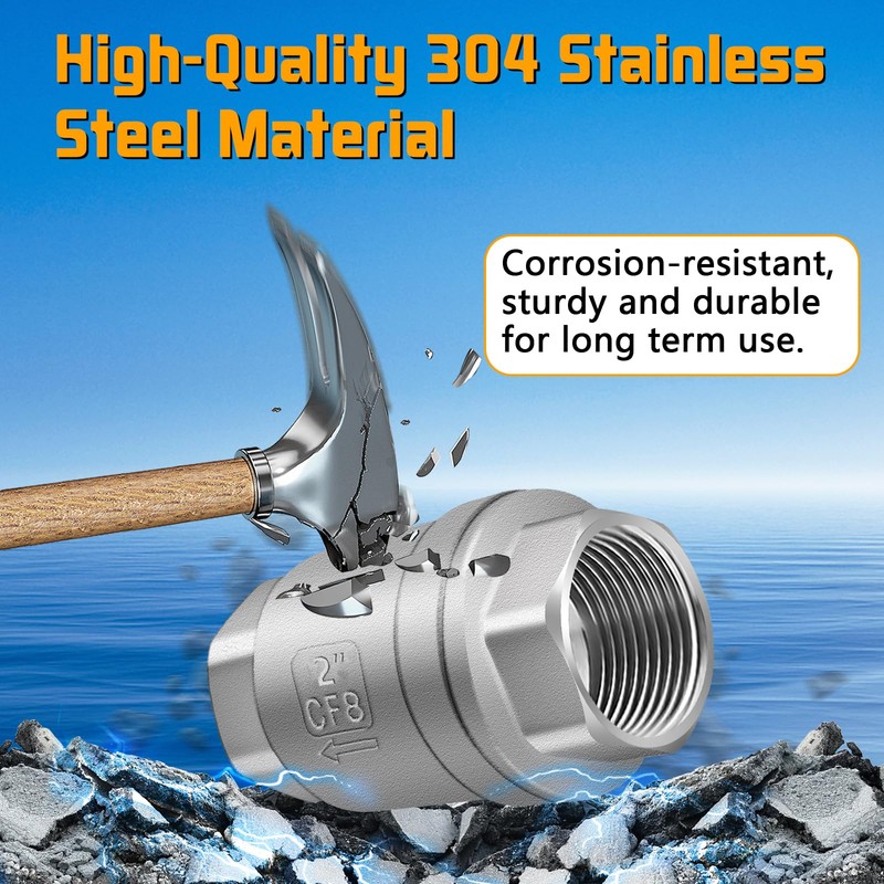 Boltigen 2 inch Spring Check Valve, 304 Stainless Steel CF8