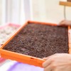 Bootstrap Farmer Microgreen Trays, Orange 30 Pack, No Holes