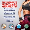 PROLABS – Bcaa Aminoacidi Ramificati Compresse 8.1.1, Amminoacidi 100% Veg