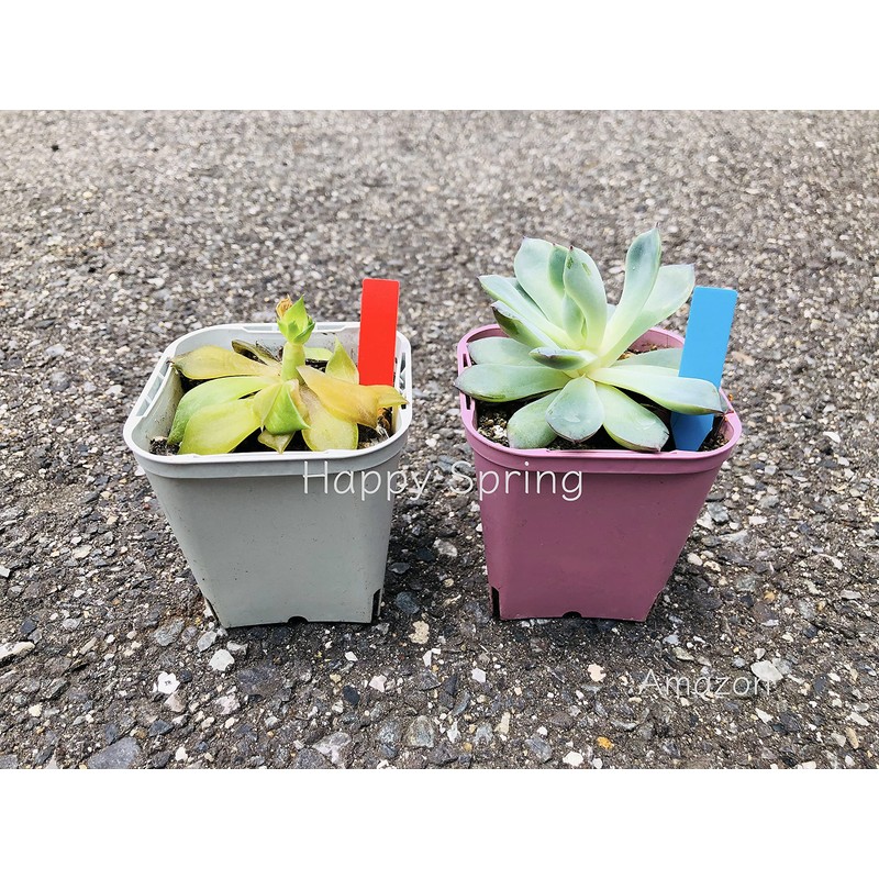 Happy Spring Hydroponics Gardening Labels I Type 500 Piece Set
