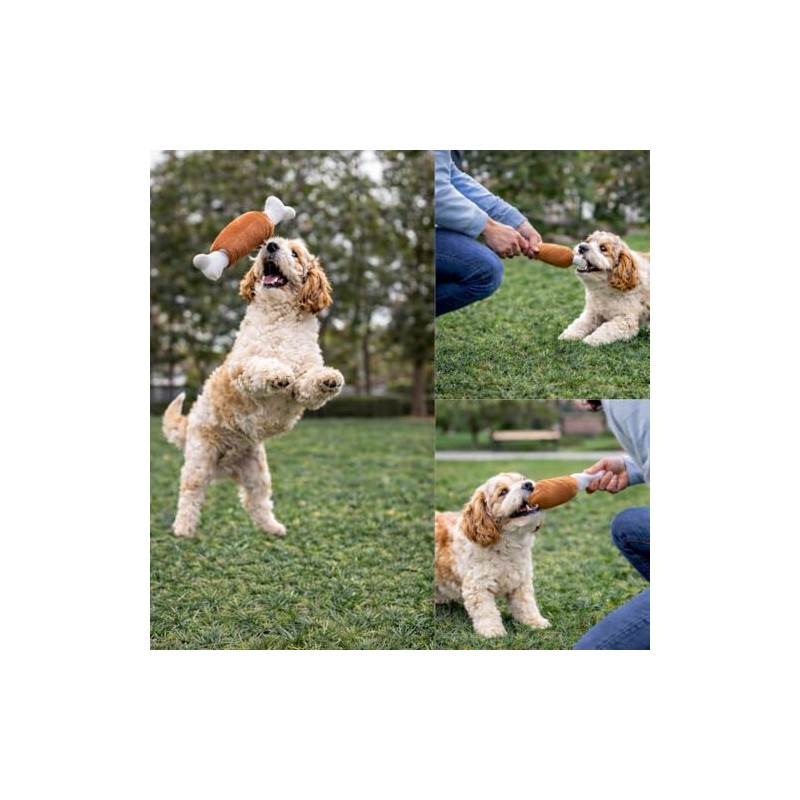 PUBAMALL Juguetes para Perros de Entrenamiento Molar, Set de 12