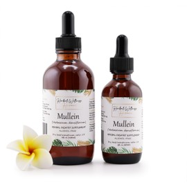 Organic Mullein (Verbascum Thapsus) Dried Flower Tincture - Herbal Supplement for General Wellness, Alcohol-Free 4 Fl.oz