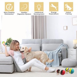 Slow Feeder Puzzle Toy for Cats & Dogs - Interactive Treat Dispenser, Mental Enrichment for Small/Medium Pets (Y-bee)