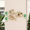 YQSLYSF WIndow Rotating Plant Stand Shelf Indoor Gold Metal Floating