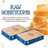 Savannah Bee Company Raw Honeycomb, 12.3 Ounce (Pack of 2)