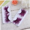 BIUDECO Fluffy False Eyelashes 5 Sets of Long Plastic Lashes
