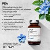 PEA Levagen+ Dietary Supplement 60 Capsules Vegan