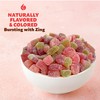 Sour Fruit Jelly Candy Mix | 1 Pound Bag |