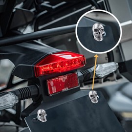 Temzzer License Plate Screws Skull Car Tag Fasteners Anti Theft Frame Bolts for Most Vehicles Motorcycle, 4 PCS (Silver)