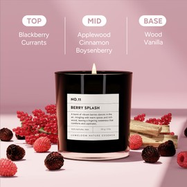 LUMELOOM Berry Splash Luxury Scented Candles, 9oz Soy Wax Candles for Home Scented, BlackBerry, Boysenberry & Woods Scent, Long Burning Time, Gifts for Women, Friends, Men, Sister, Mom, Teacher