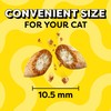 Temptations Classic Crunchy and Soft Cat Treats Tasty Chicken Flavor,