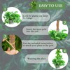 2 Pack 25 Inch Coco Coir Moss Poles for Climbing