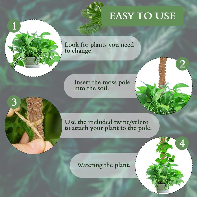 2 Pack 25 Inch Coco Coir Moss Poles for Climbing