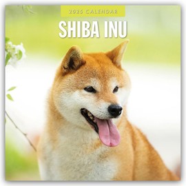 Shiba Inu 2025 – 16-Monatskalender: Original Red Robin Publishing Ltd-Kalender [Mehrsprachig] [Kalender] (Wall-Kalender)