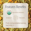 Rishi Tea Turmeric Ginger Herbal Tea - Organic Sachet Bags,