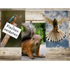 Edition Colibri Animals Europe (Set 2) 3D Postcard Set: 7