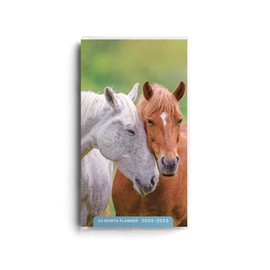 DaySpring - Horses 2024 – 2025 Planner - 28-Month - 2 Year Pocket Calendar (U0267)