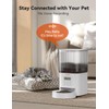 WOPET Automatic Cat Feeder, 4L Timed Dog Feeder with 180-Day