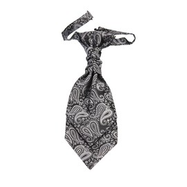 Hello Tie Pre-tied Microfiber Ascot Ruche Paisley Cravats Tie for Men (Silver)