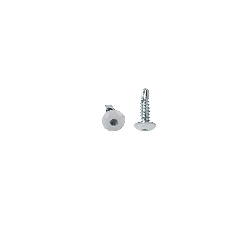 Trailer Exterior Self Tapping Screws (150pcs)#10 x 3/4 Enclosed Car