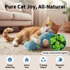 HoneyGuaridan Cat Toys Pillows, 4 Pack, Soft and Durable Crinkle
