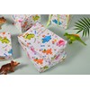 Titiweet Dinosaur Birthday Wrapping Paper - 17" x 16.4 ft