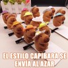 AOKUN Pinzas para Cabello,16 Piezas Clips para Cabello Capibara,Accesorios para