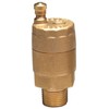 150 psi Automatic Air Vent Valve, Brass, 3/4 in Inlet