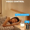 Pack of 2 WLAN Smart Sockets, Smart Home WiFi Socket