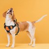 Dogline Quest No-Pull Dog Harness with 3D Rubber Blind Dog