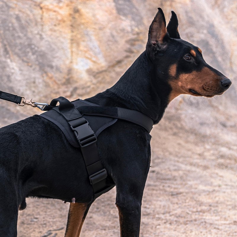Excellent Elite Spanker Dog Harness, Military Nylon Harness, for Large
