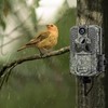 Sexoeie 7 Pcs Trail Camera Mount with 360-Degree Camera Head,Hunting